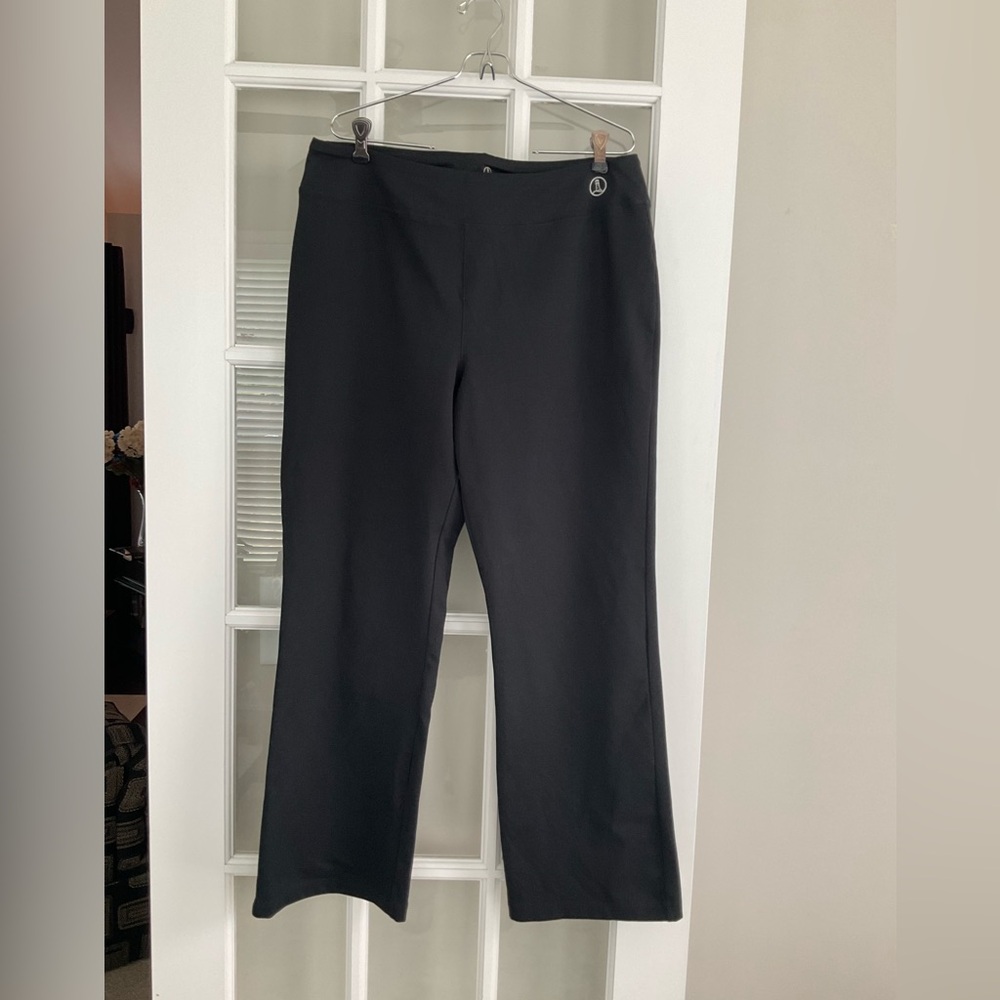 Lands End pull on pants